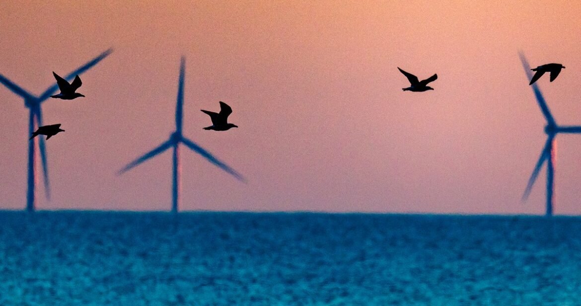 Trump halts five East Coast wind farms: What to know