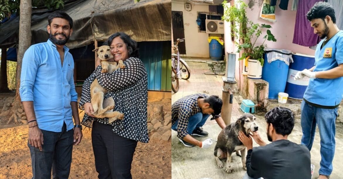 What To Do For Injured Animals on Streets? MBA Grad Has Saved 40000 Strays