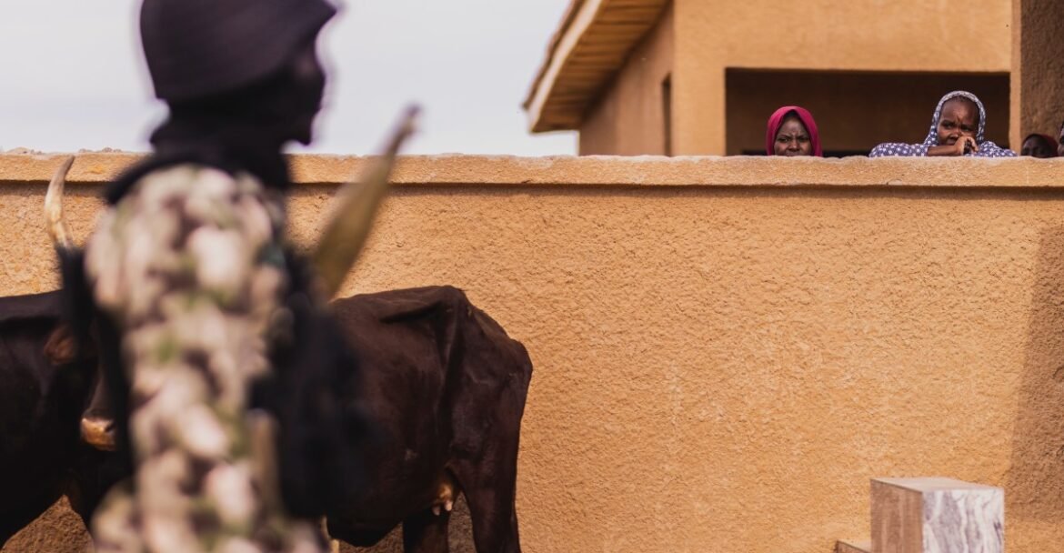 Why is the US bombing Nigeria?