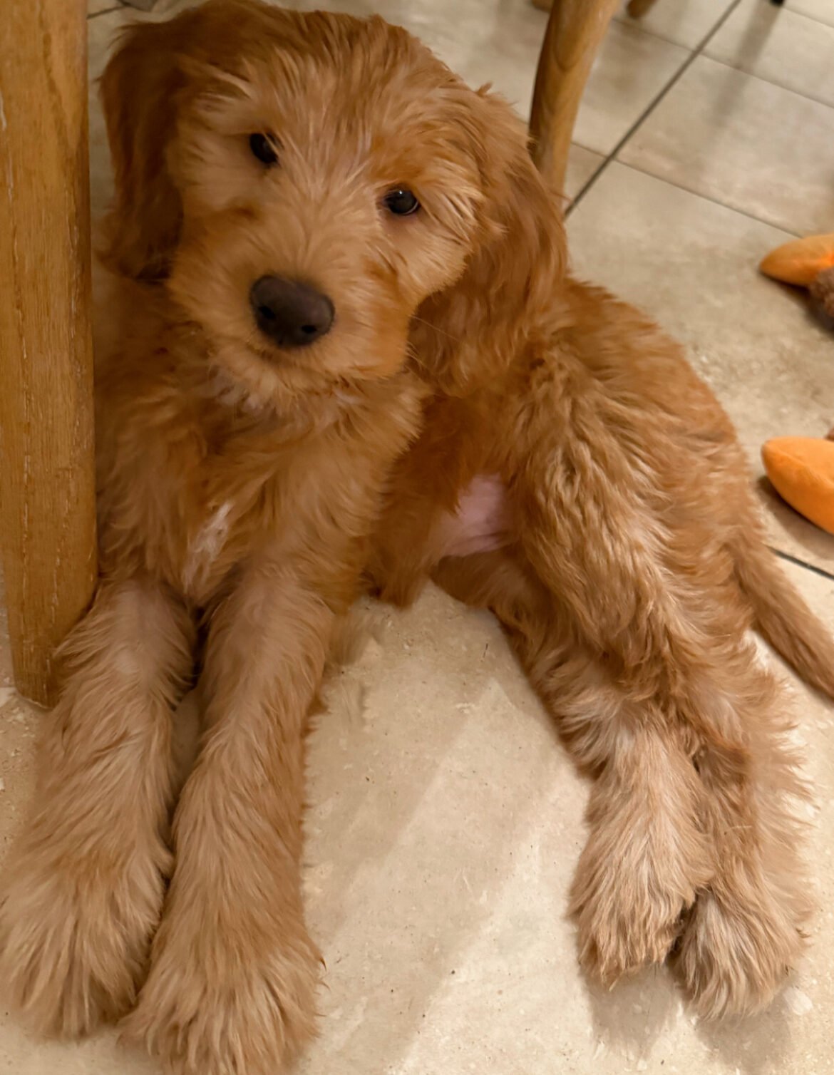 1.9 Friday Faves - The Fitnessista