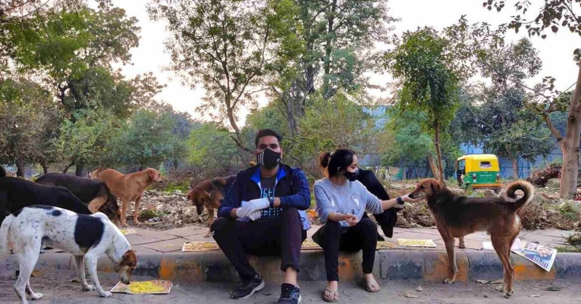 DU Students Start Community Kitchen for Dogs, Rescue Over 1000 Strays