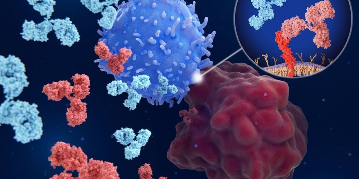 Immune Checkpoint Inhibitors - HealthyWomen