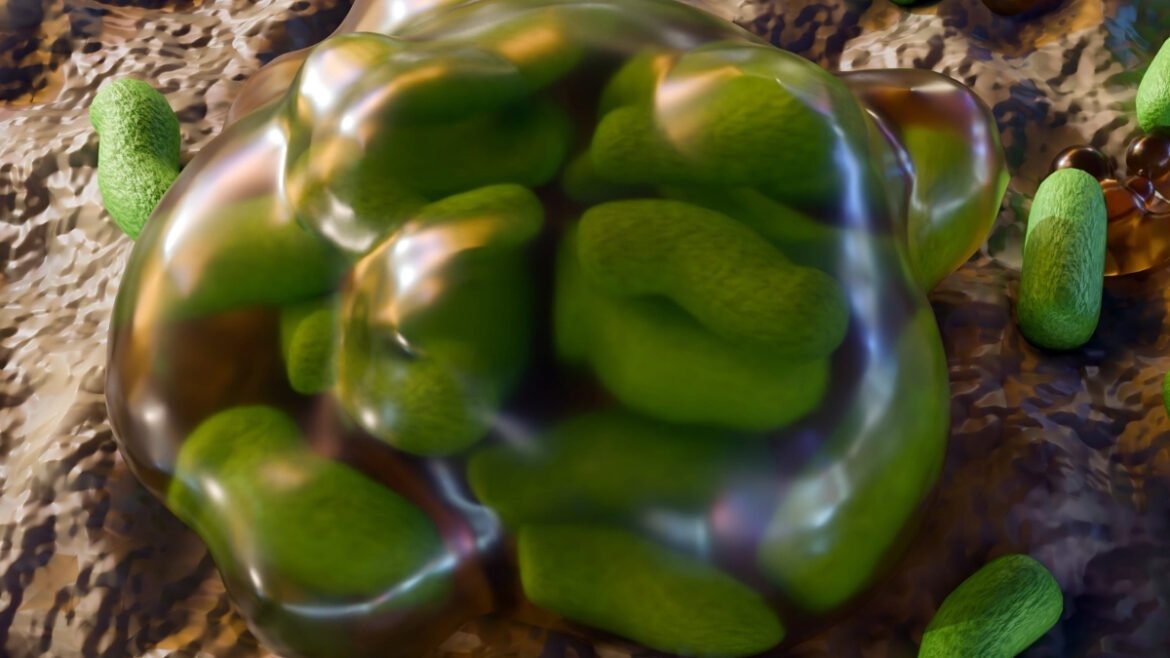 Microbes in Fukushima Found Surprisingly Unscathed by Radiation : ScienceAlert