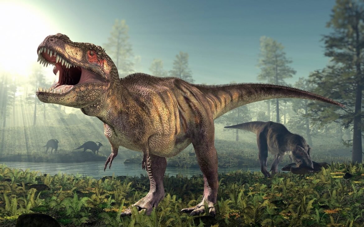 T. rex Never Stopped Growing, Dinosaur Bone Study Suggests
