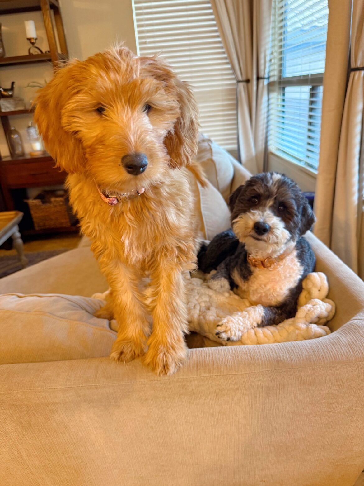 2.6 Friday Faves - The Fitnessista