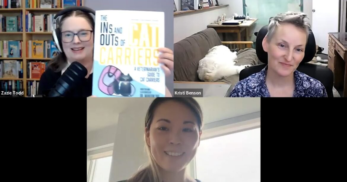 Everything You Need to Know about Cat Carriers with Dr. Mansum Yau