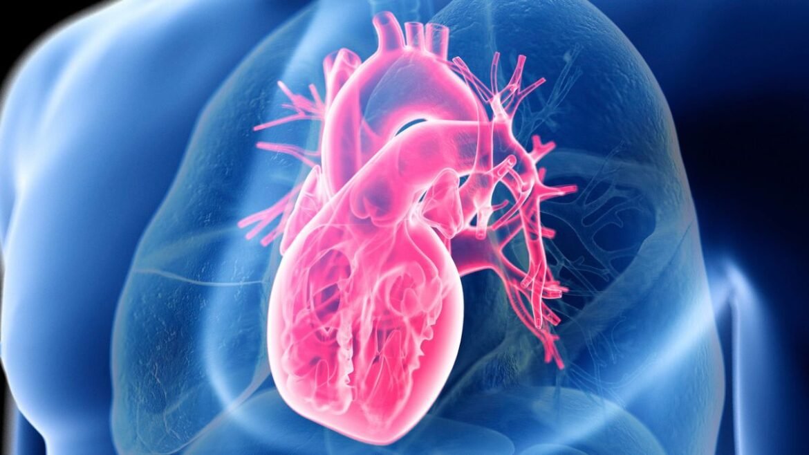 Giant Study Reveals The Secret to Heart Health, And It's Not Low-Carb or Low-Fat : ScienceAlert