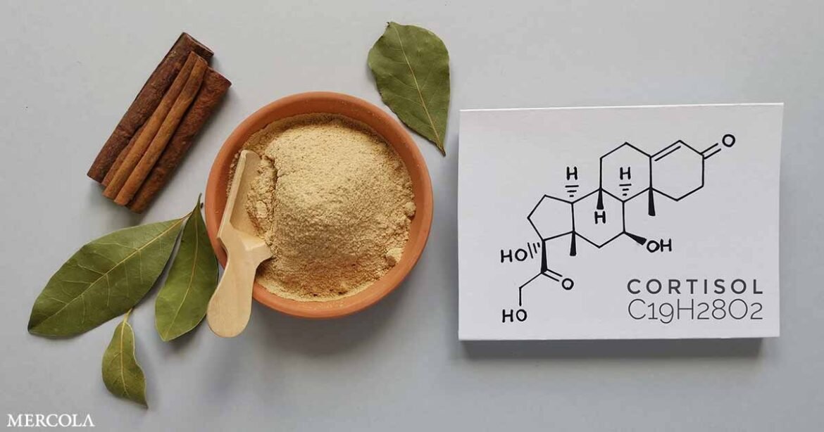 How Ashwagandha Supports Stress Balance and Physical Recovery