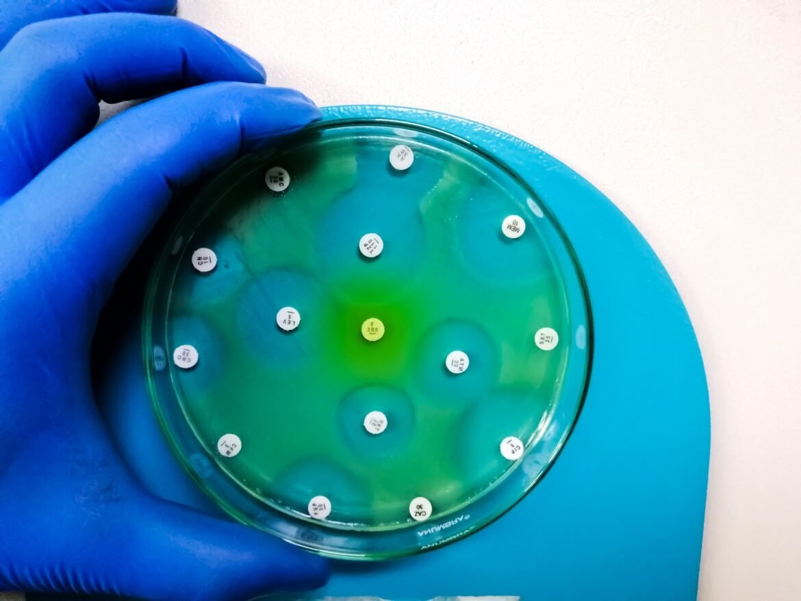 How conflicting MIC breakpoints distort antimicrobial resistance data