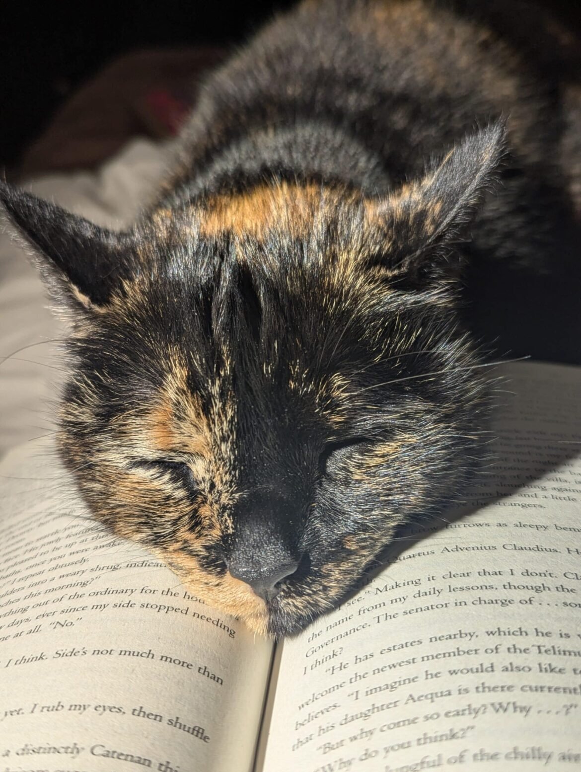 What's saving your life right now?