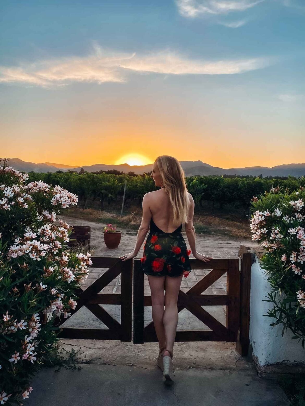 Colchagua Valley & Maipo Valley Chile: The Ultimate Chile Wine Region Guide