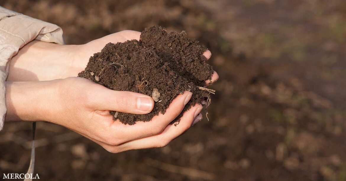 How to Amend Your Soil After Harvest and Why It Matters