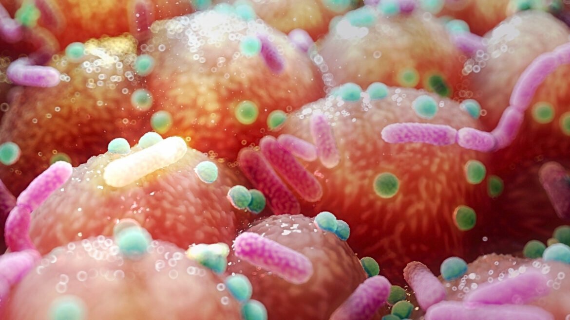 Parkinson's Link to Gut Bacteria Hints at Unexpectedly Simple Treatment : ScienceAlert