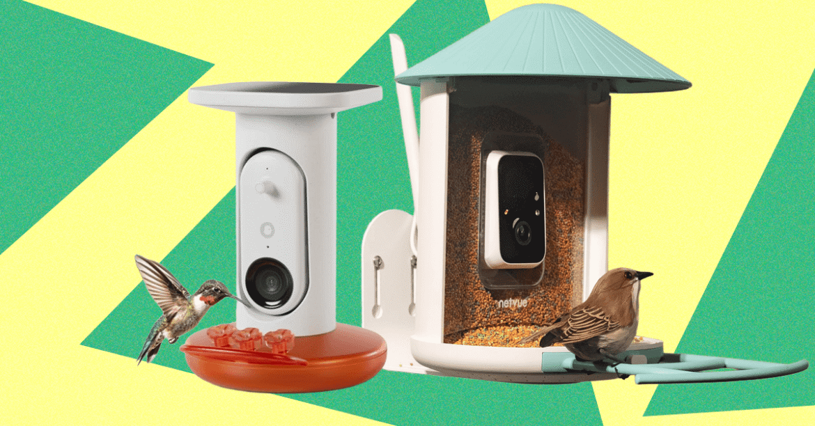 The Smart Bird Feeders Everyone’s Talking About (and Actually Buying) (2026)