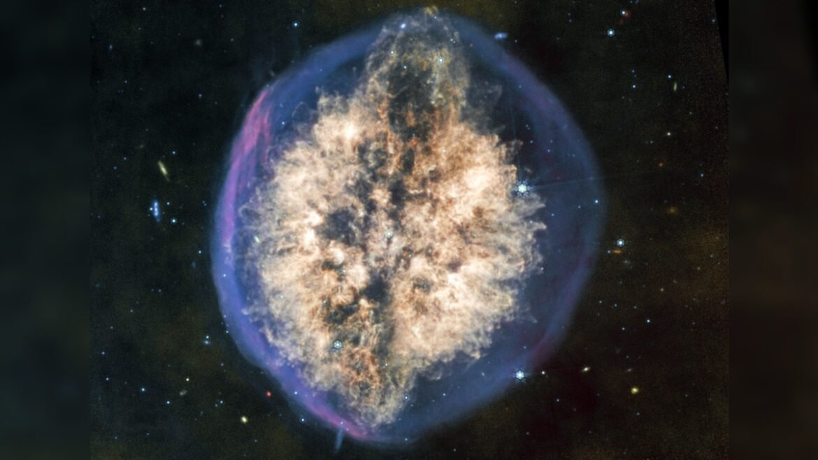 This Epic Nebula Looks Like a Giant Brain Floating in Space : ScienceAlert
