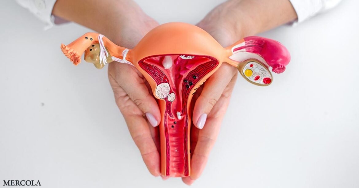 Vitamin B6 Supports Ovarian Function and May Influence Menopause Transition