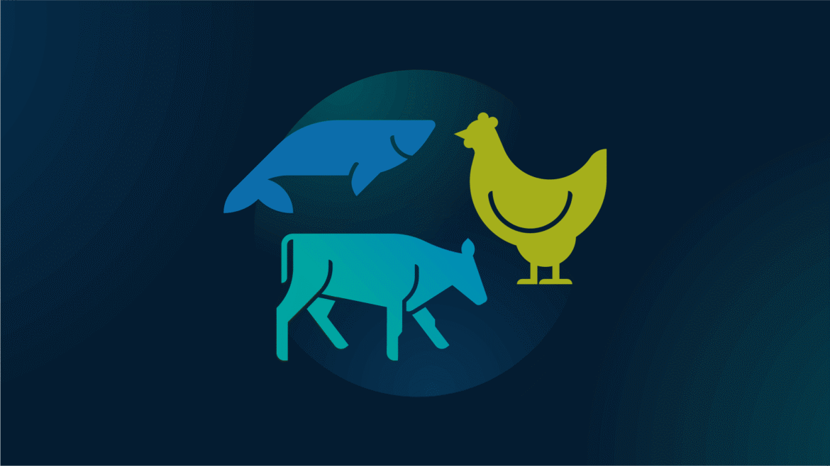 What the One Big Beautiful Bill Act (OBBBA) Means for Animals