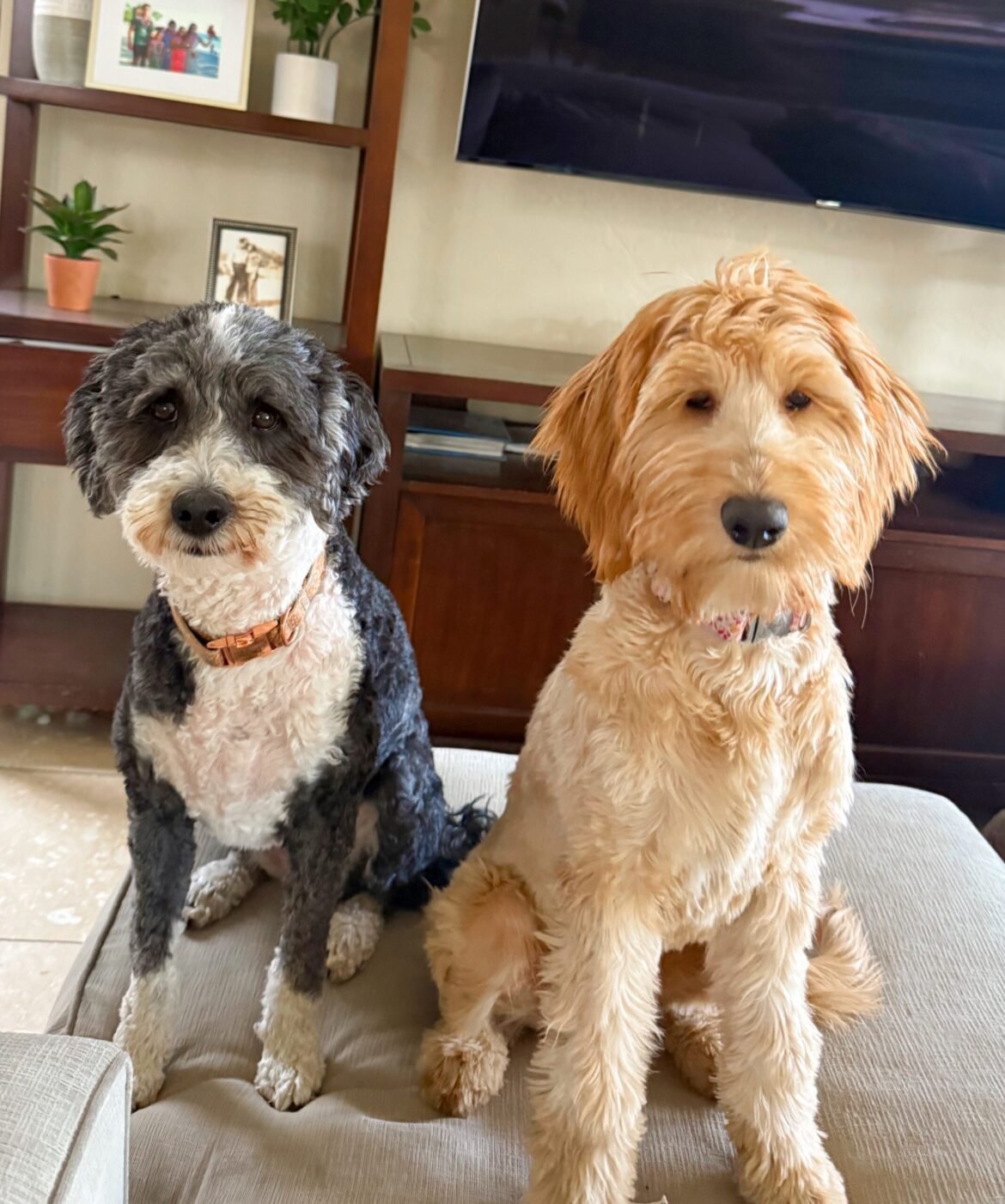 4.17 Friday Faves - The Fitnessista