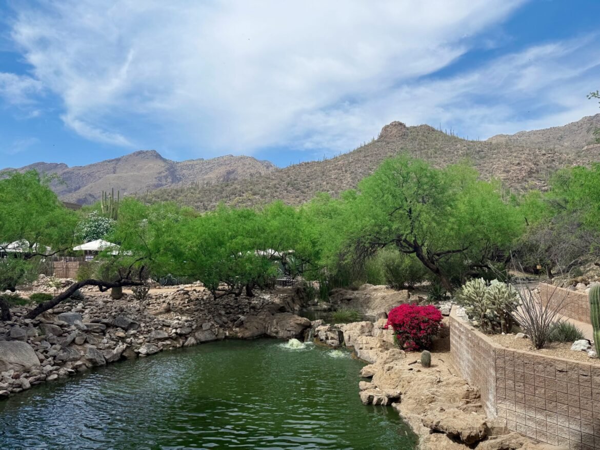 4.3 Friday Faves - The Fitnessista