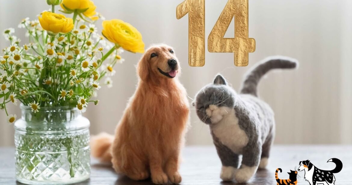 Companion Animal Psychology Turns 14 Today