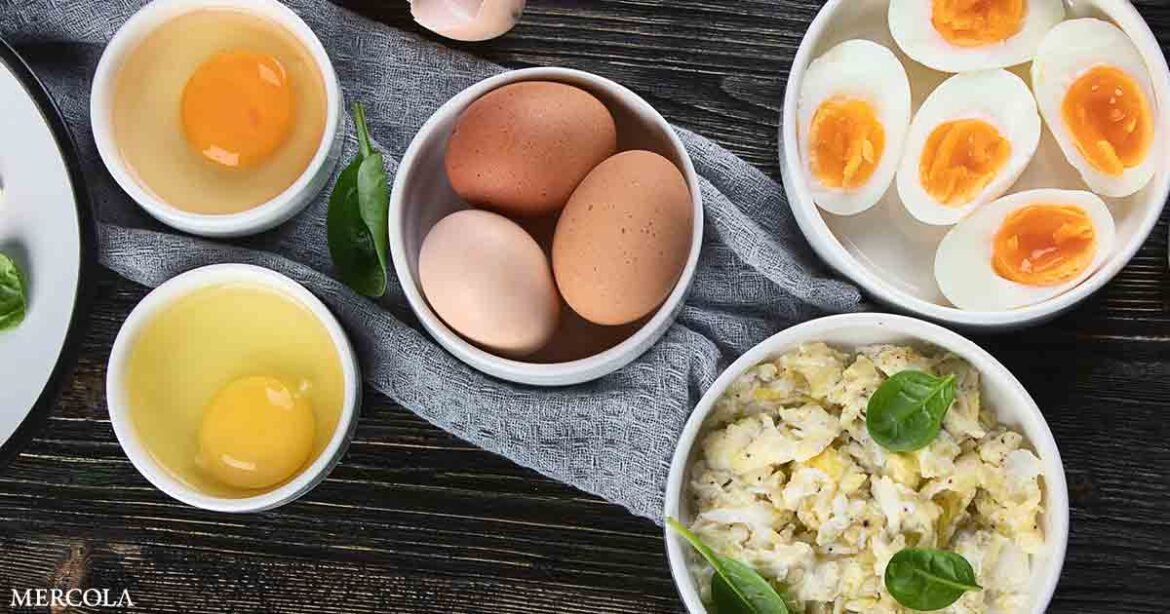 Cracking the Myth - How Eating Eggs Helps Lower Bad Cholesterol