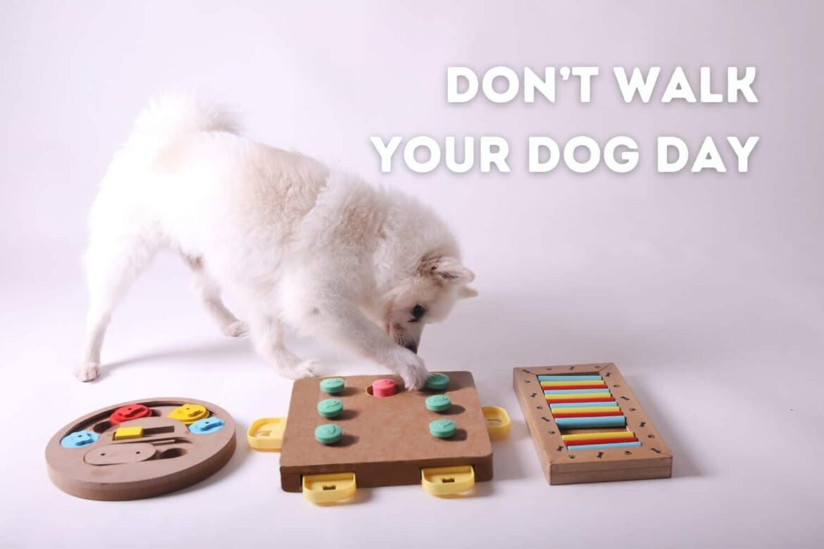Don't Walk Your Dog Day