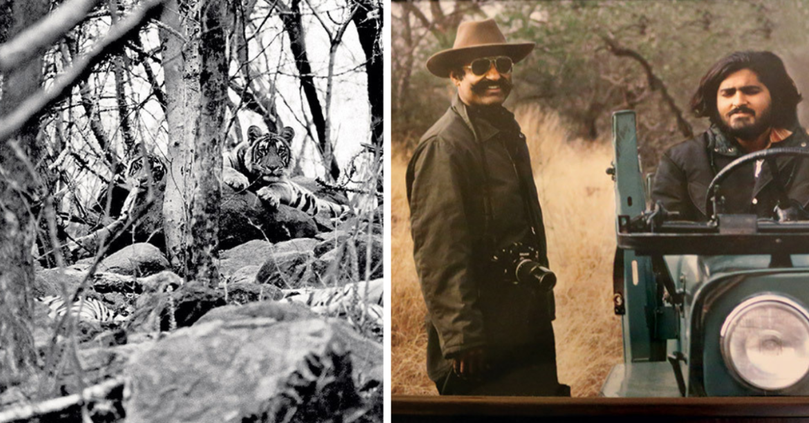 How One Effort Helped India’s Wildlife & Forests Come Alive Again