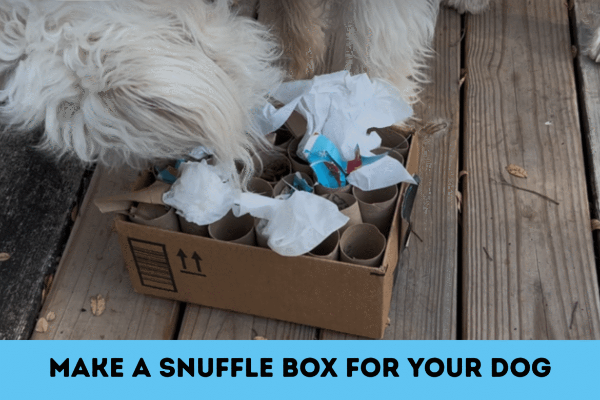 Make a DIY Snuffle Box
