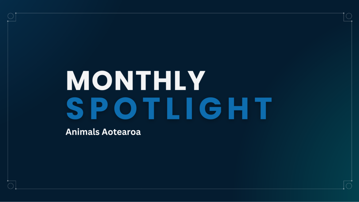 Monthly Spotlight - Animals Aotearoa