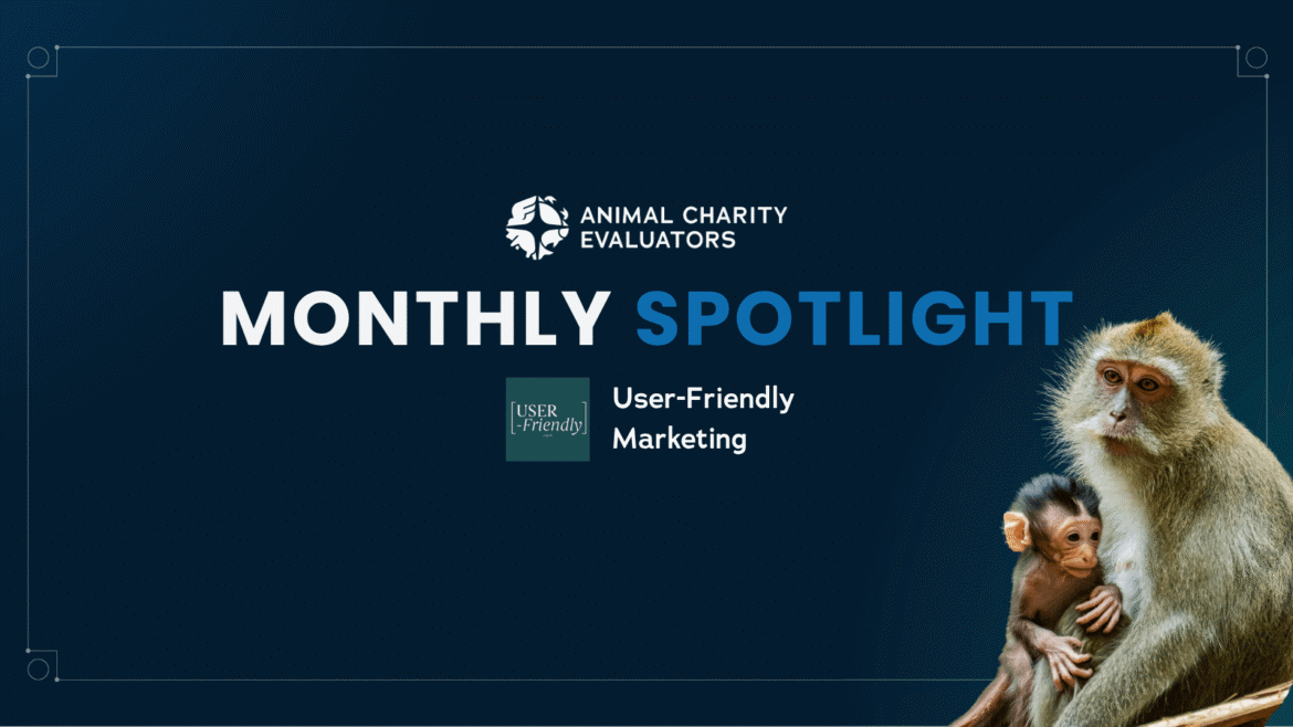 Monthly Spotlight - User-Friendly Marketing