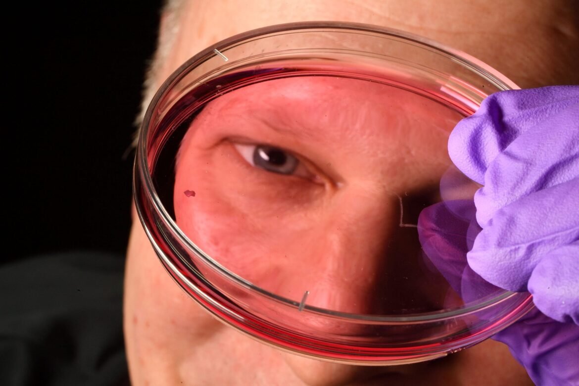 New Research Challenges 30-Year-Old Theory of Eye Development