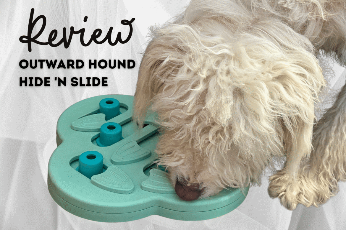 Outward Hound Hide 'n Slide by Nina Ottosson
