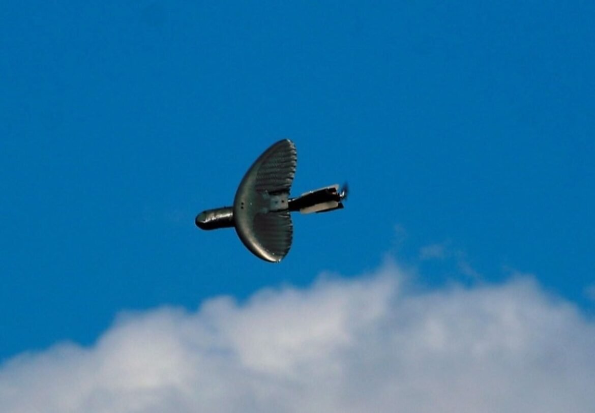 U.S. intelligence agency launches biodegradable drone research