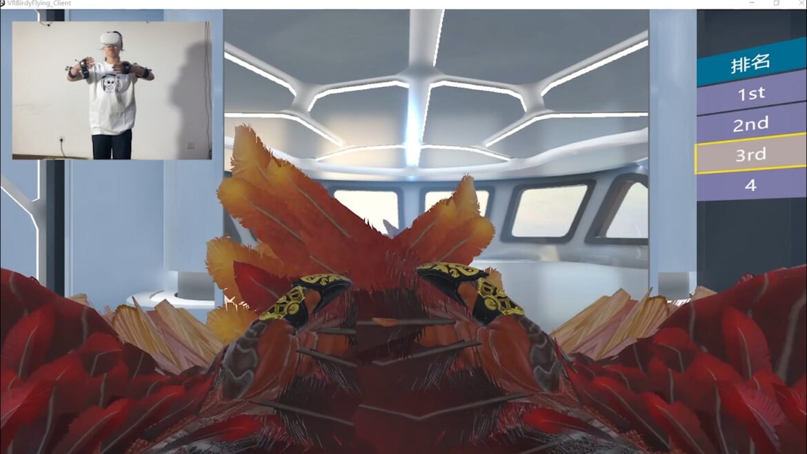 25 people learned to fly with virtual wings. Here’s how the brain changed