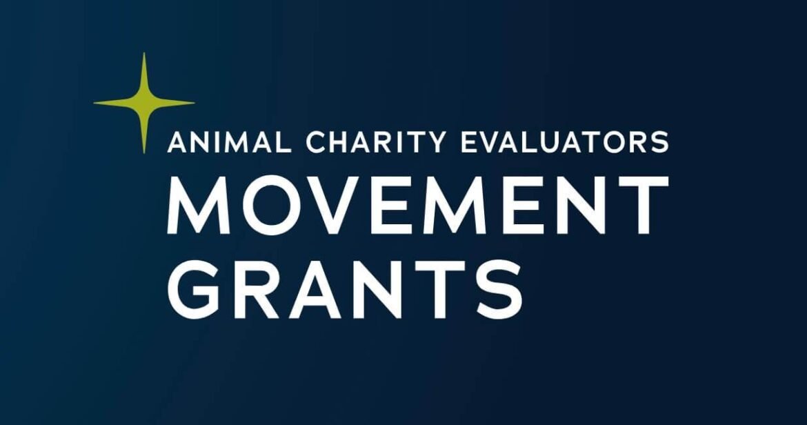 Announcing our latest Movement Grant Recipients