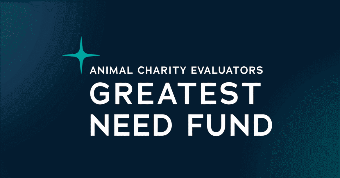 Announcing the first distribution from ACE’s Greatest Need Fund