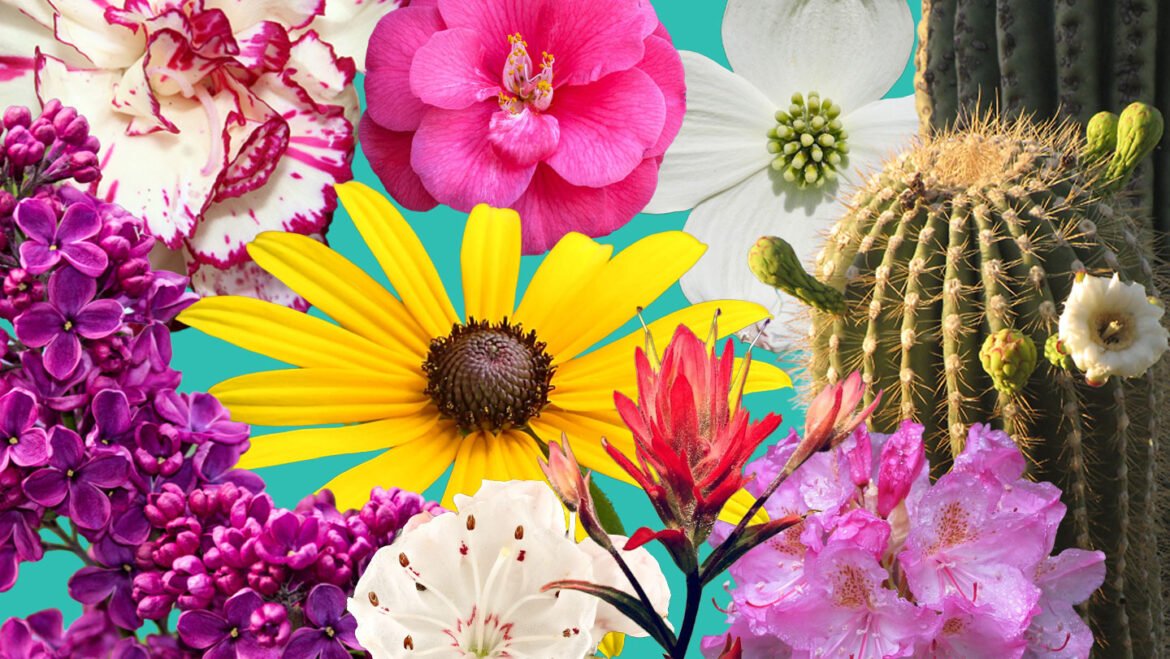 Celebrate America’s 250th birthday at a new state flower exhibit