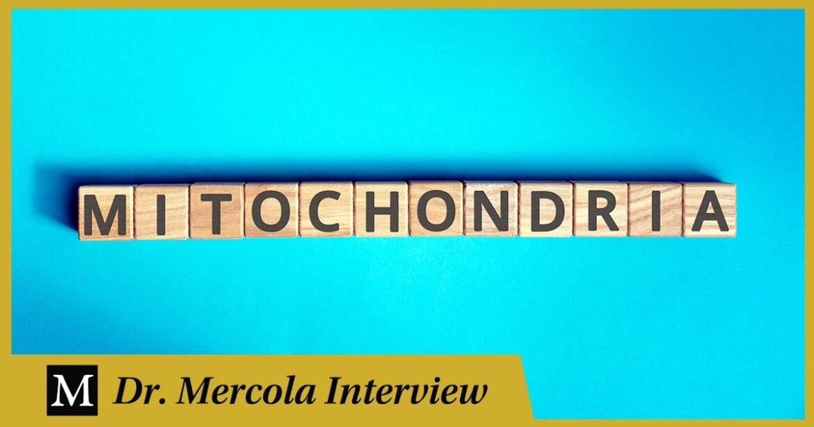 Hemal Patel - Exploring the Miraculous World of Mitochondria