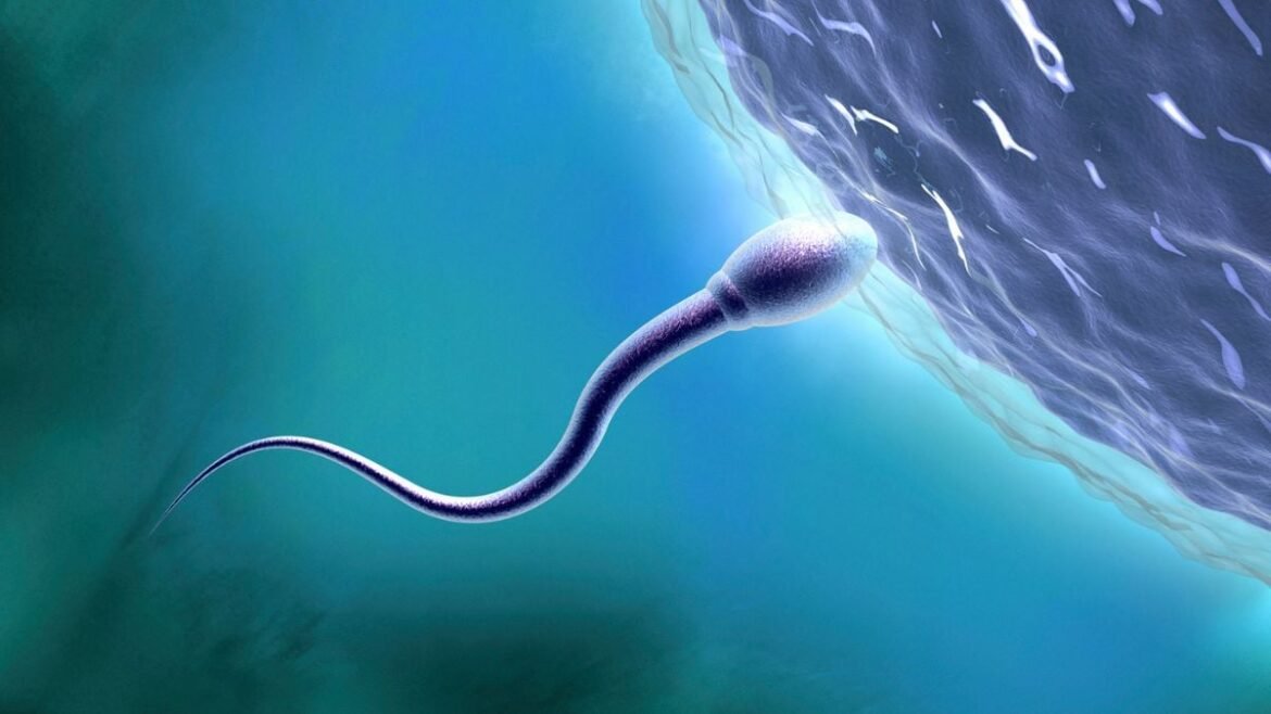 Humans And Animals Are Facing a Hidden Fertility Crisis, Scientists Warn : ScienceAlert