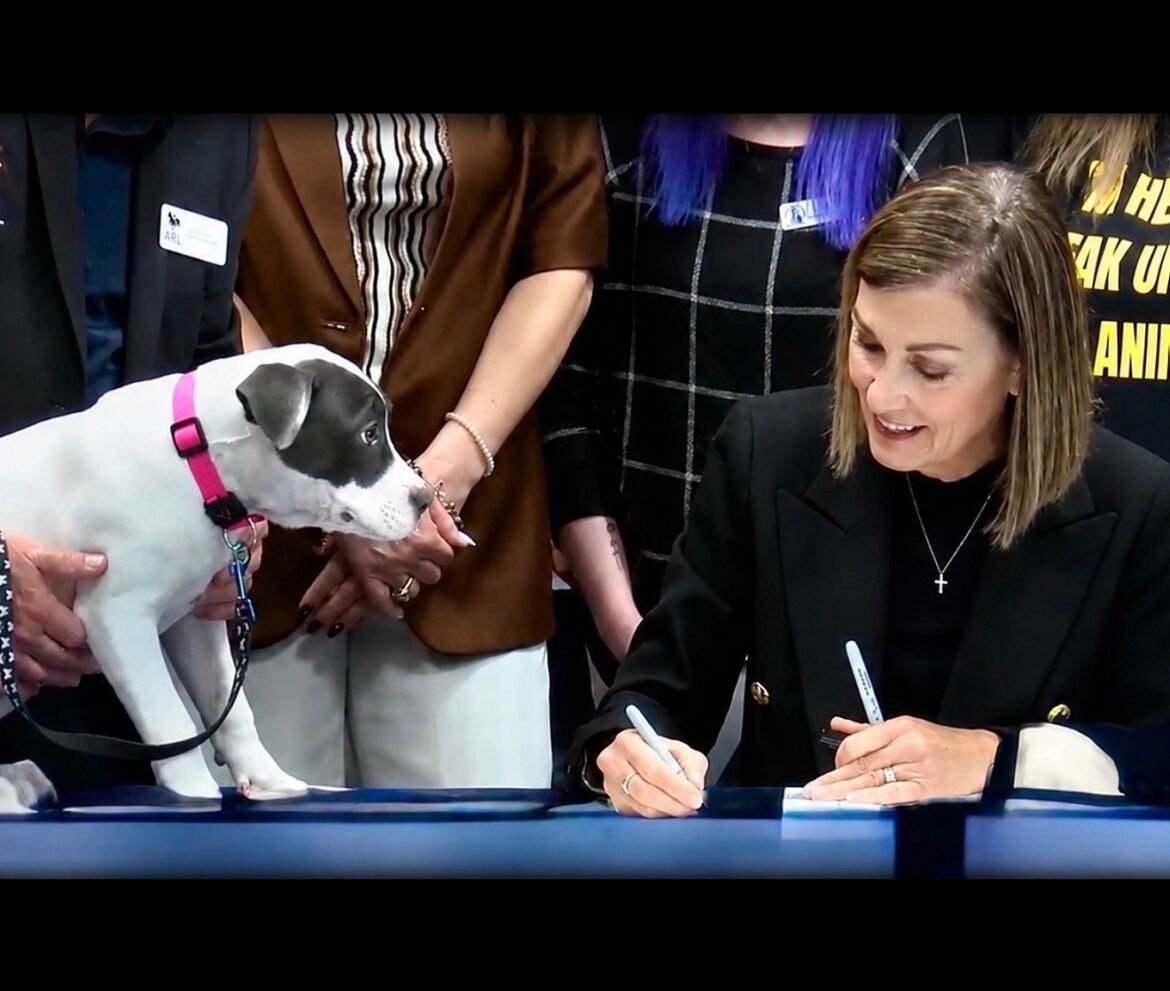 Justice For Animals: Iowa Becomes The 50th State To Make Animal Torture A Felony