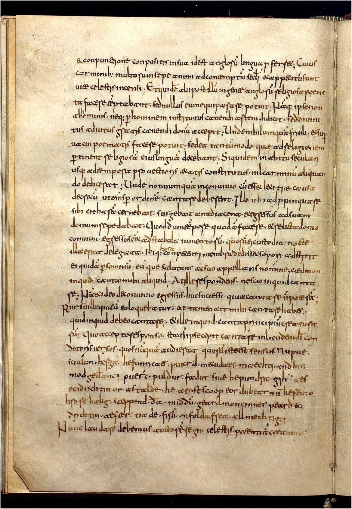 Lost Medieval Manuscript Finally Found Hiding in Plain Sight