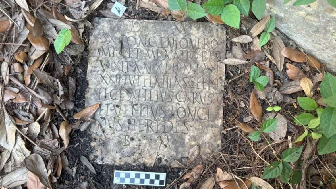 Mysterious Stone in US Backyard Turns Out to Be an Archaeological Treasure : ScienceAlert