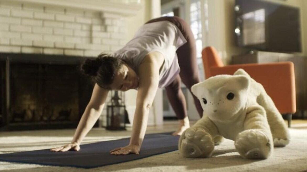 Roomba Inventor Now Wants You to Own an AI Robot Pet