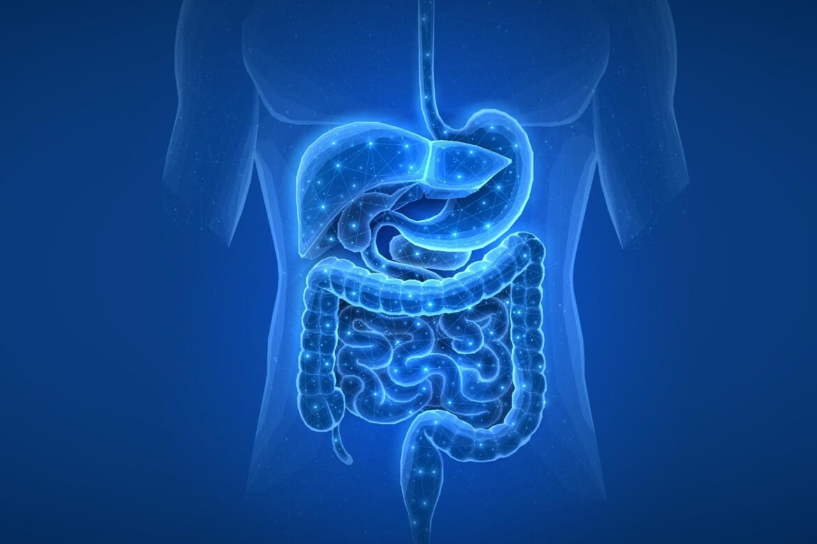 Scientists Discover Common Medications May Secretly Alter Your Gut for Years