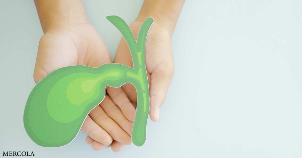 Study Reveals Bile as Reservoir for Microplastics in Humans