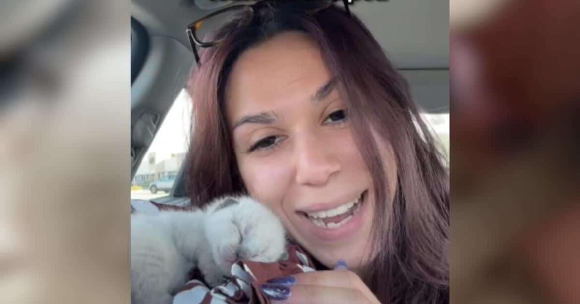 The Cat Distribution System Never Misses...Just Ask This First-Time Cat Mom
