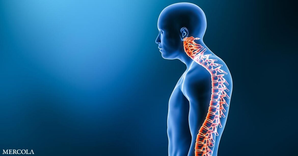 Why Do Some People Get a Curved Back as They Age and What Can I Do to Avoid It?