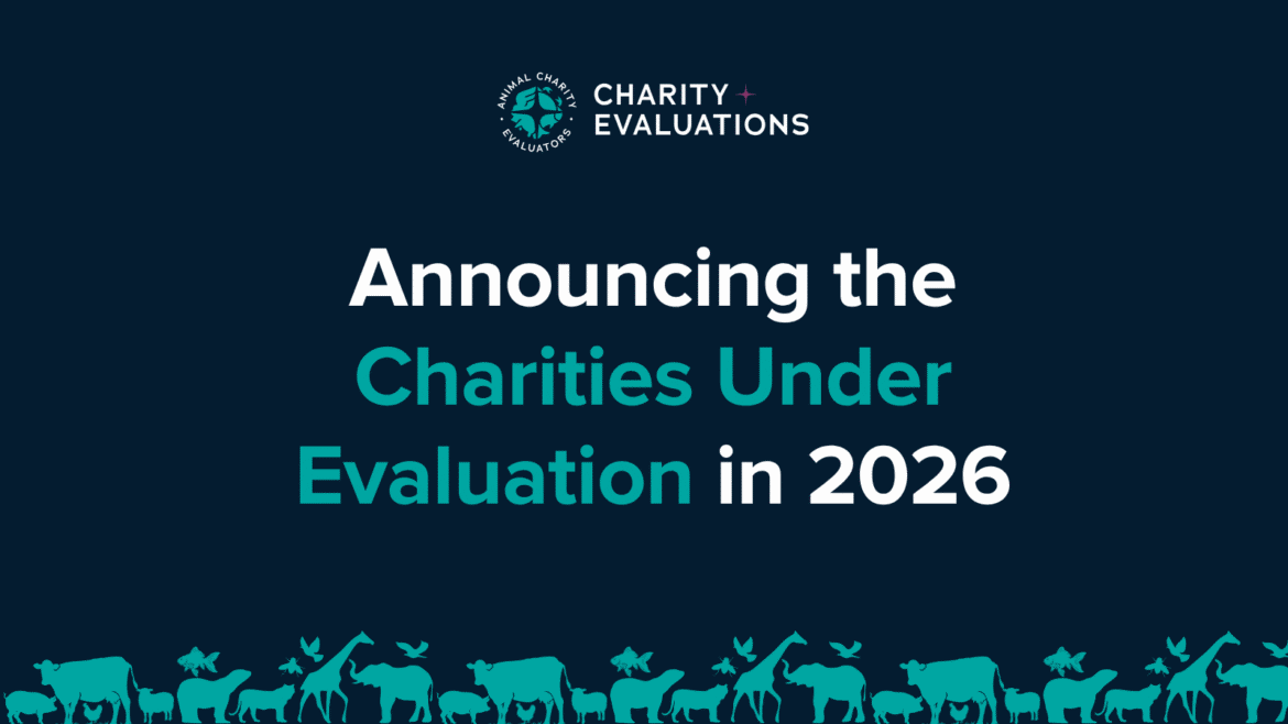 Announcing the Charities Under Evaluation in 2026