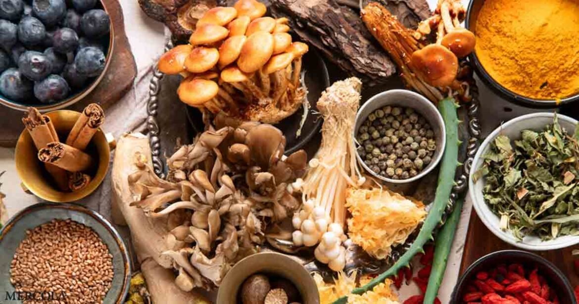 Fiber Found in Everyday Foods Helps Remove Forever Chemicals from Your Body