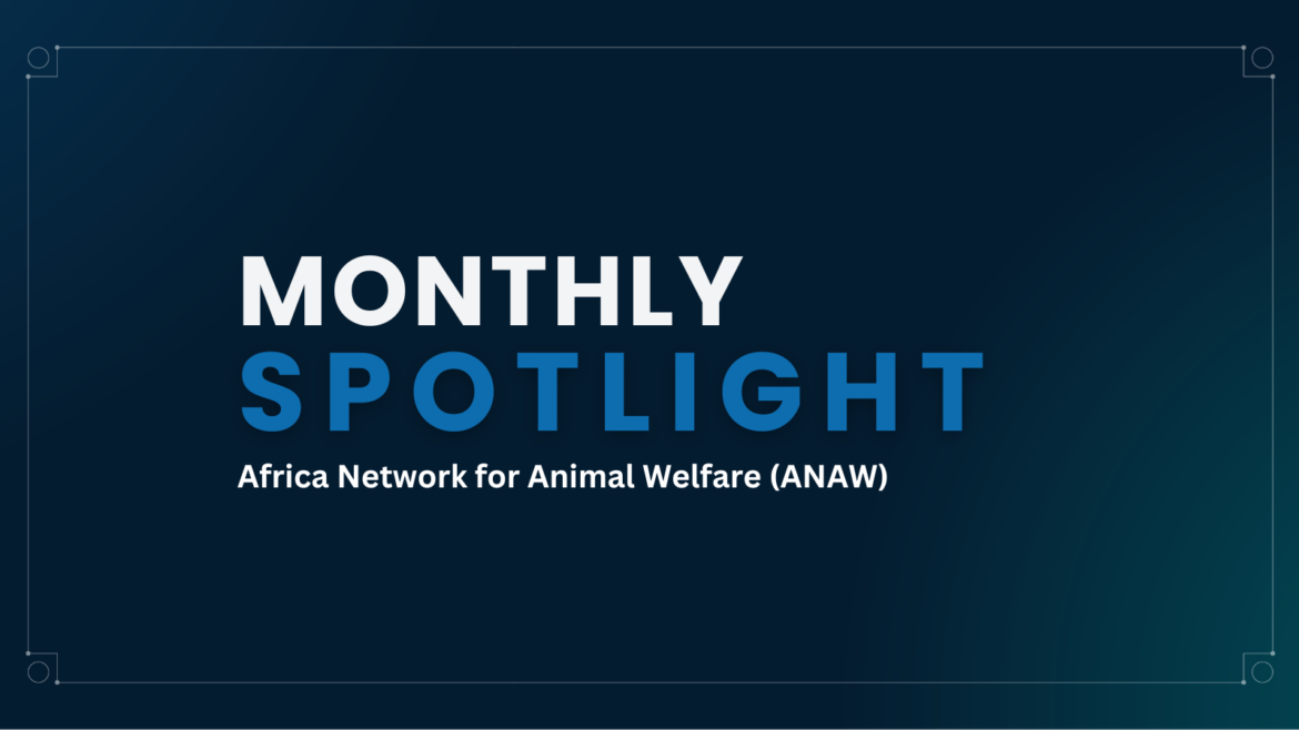 Monthly Spotlight - Africa Network for Animal Welfare (ANAW)